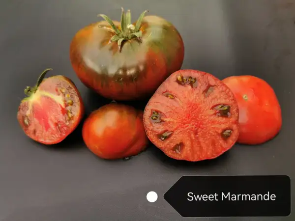 Tomaten: Sweet Marmande