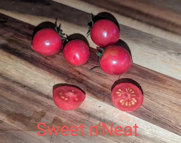 Tomaten: Sweet n