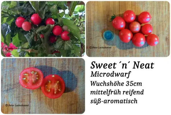 Tomaten: Sweet ´n´ Neat