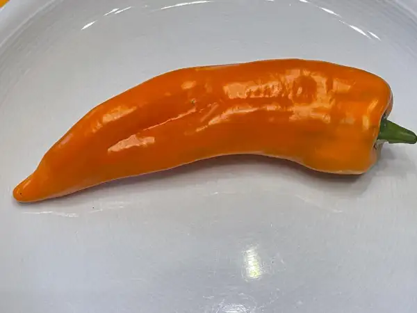 Paprika: Sweet Palermo Orange