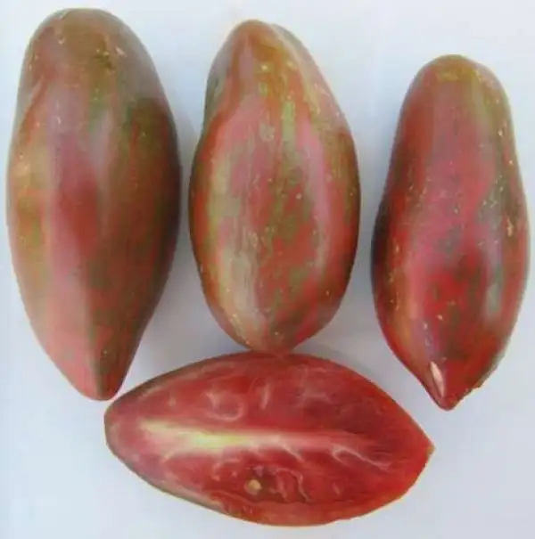 Tomaten: Sweet Tooth