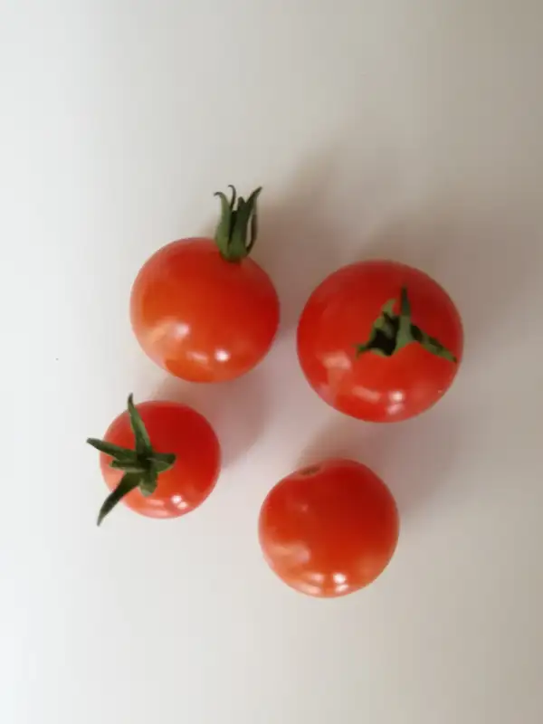 Tomaten: Sweetie