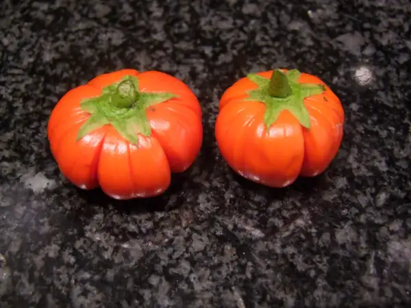 Auberginen: Türkish orange Solanum aethiopicum