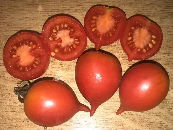 Tomaten: Téton de Cuelgue