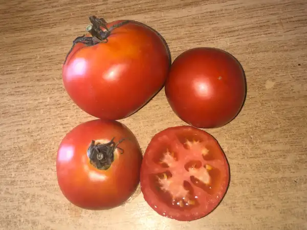 Tomaten: Taller de Lubre