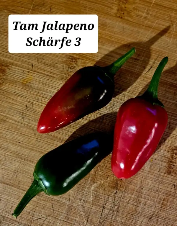 Chili / Paprika: Tam Jalapeno