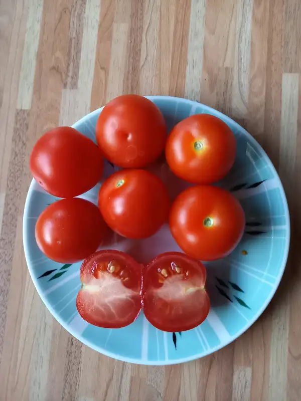Tomaten: Tamina