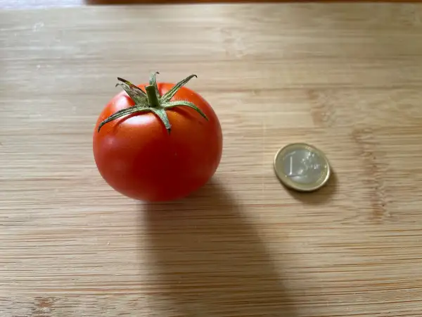 Tomaten: Tamina
