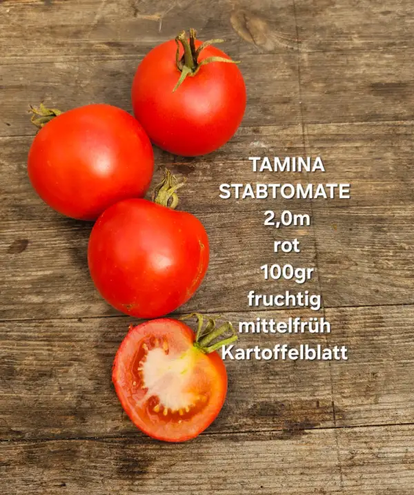 Tomaten: Tamina