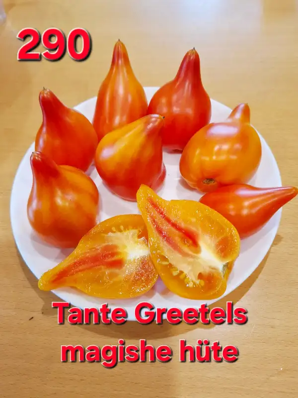 Tomaten: Tante Greetels magishe hute