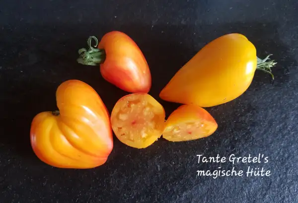 Tomaten: Tante Gretel