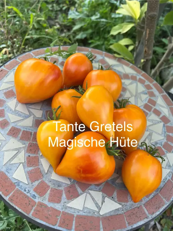 Tomaten: Tante Gretels magische Hüte