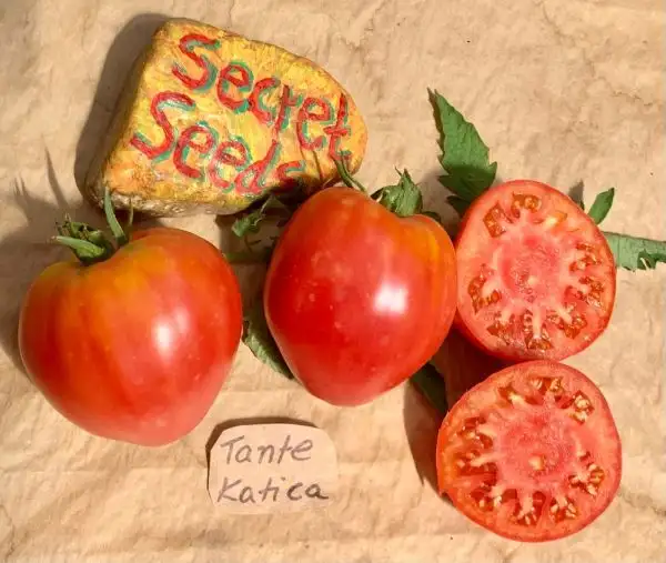 Tomaten: Tante Katica