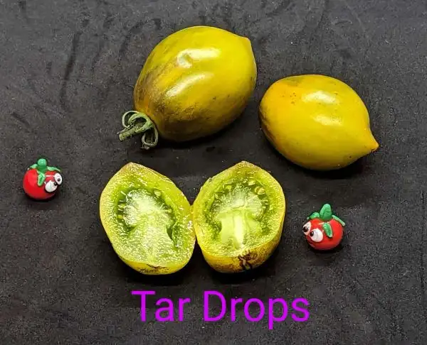 Tomaten: Tar Drops