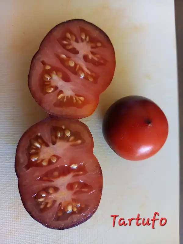 Tomaten: Tartufo