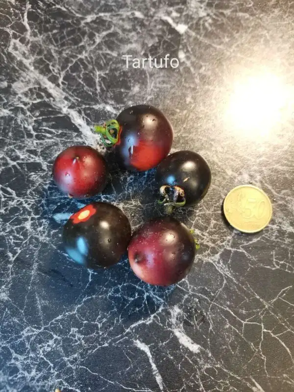 Tomaten: Tartufo