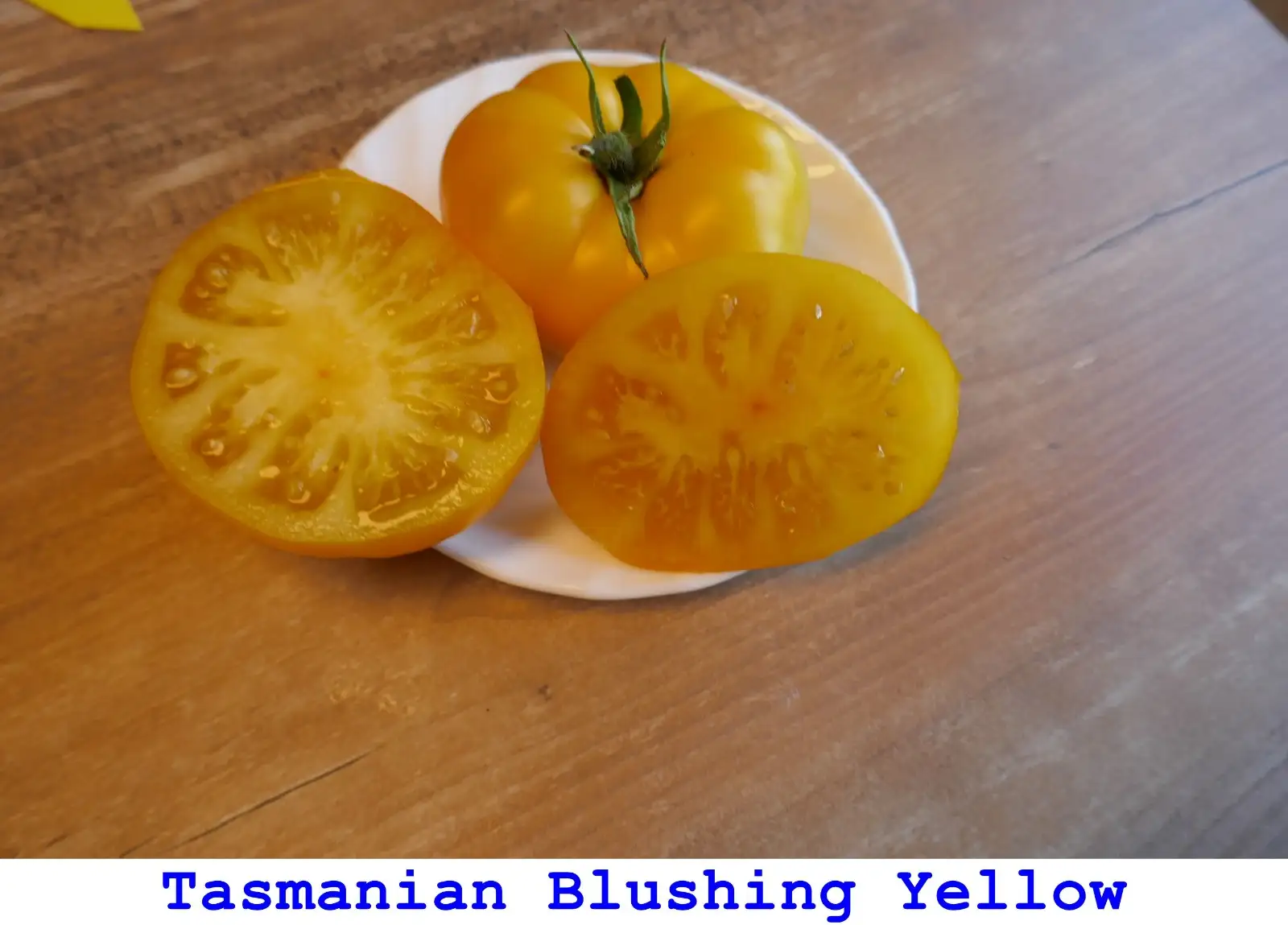 Tomaten: Tasmanian Blushing Yellow