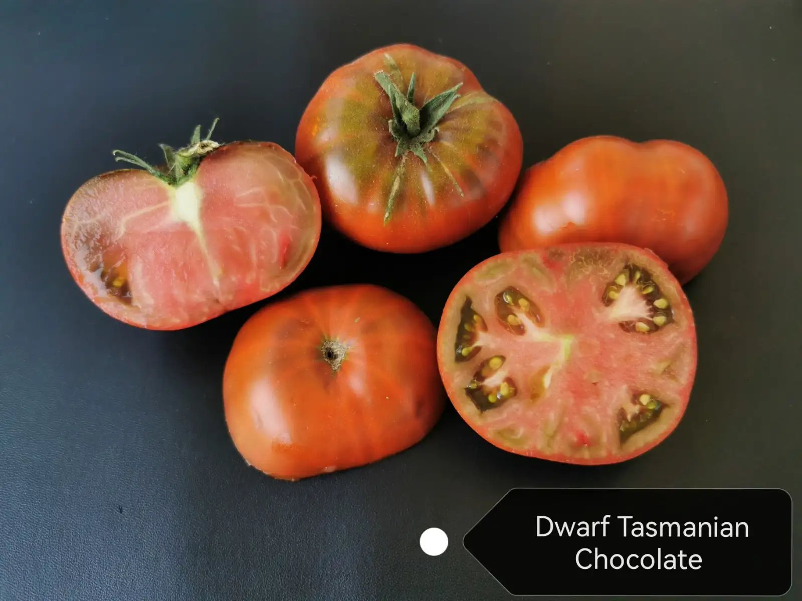 Tomaten: Tasmanian Chocolate Dwarf