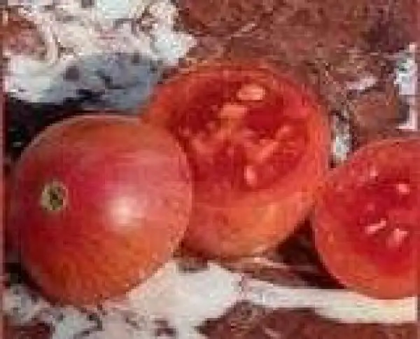 Tomaten: Taste