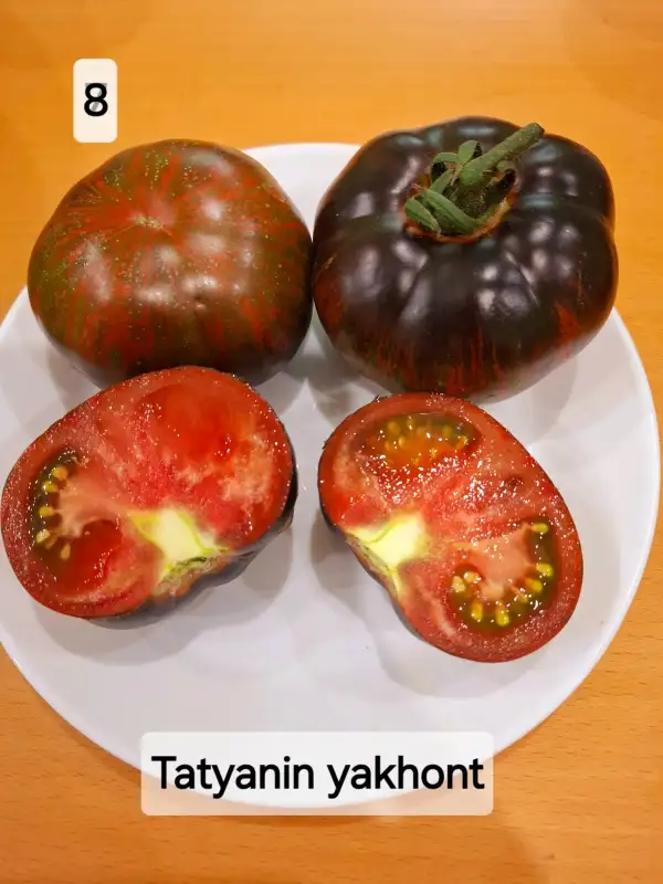 Tomaten: Tatyanin yakhont