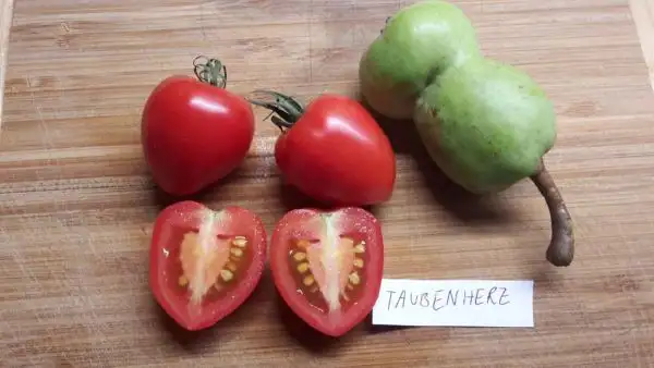 Tomaten: Taubenherz