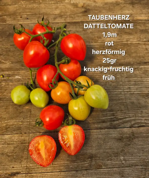 Tomaten: Taubenherz