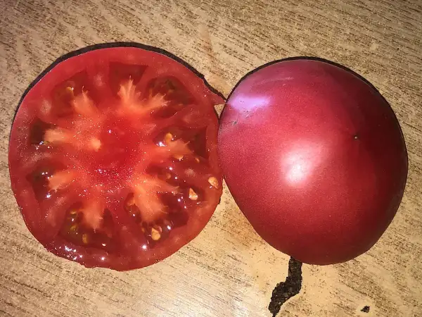 Tomaten: Telec