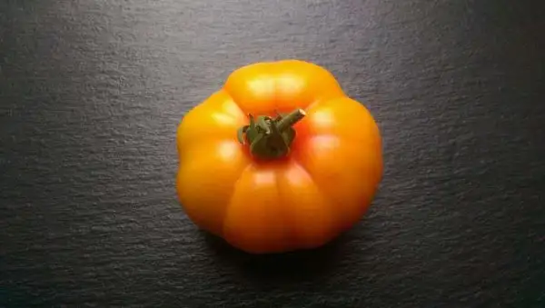 Tomaten: Tennessee Surprise