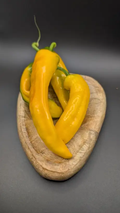Chili / Paprika: Tequila Sunrise