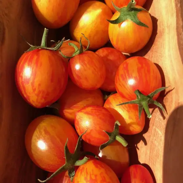 andere Gemüse: test