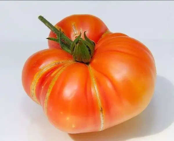 Tomaten: Texas Star