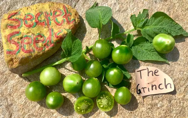 Tomaten: The Grinch