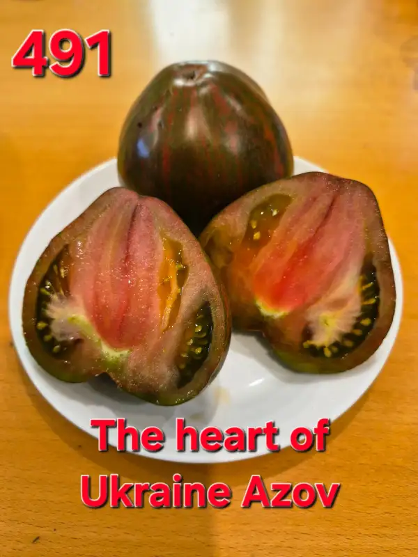 Tomaten: The heart of Ukraine Azov