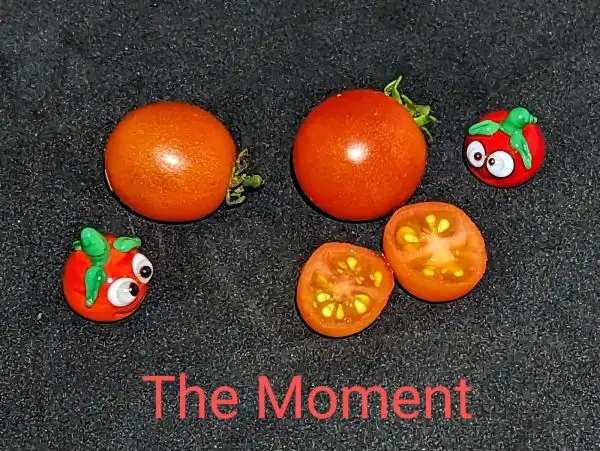 Tomaten: The Moment