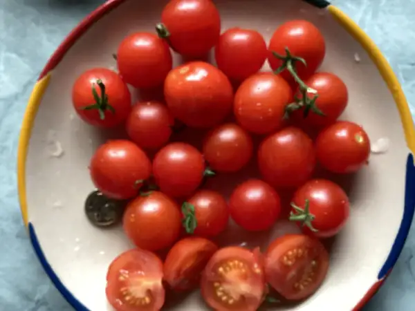 Tomaten: The Moment Mirodwarf