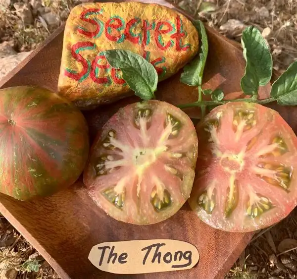 Tomaten: The Thong