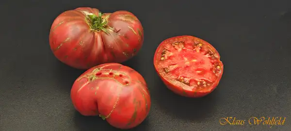 Tomaten: The Thong