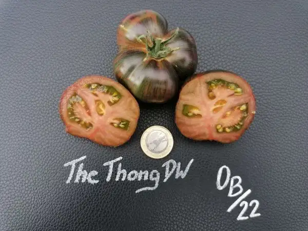 Tomaten: The Thong DW