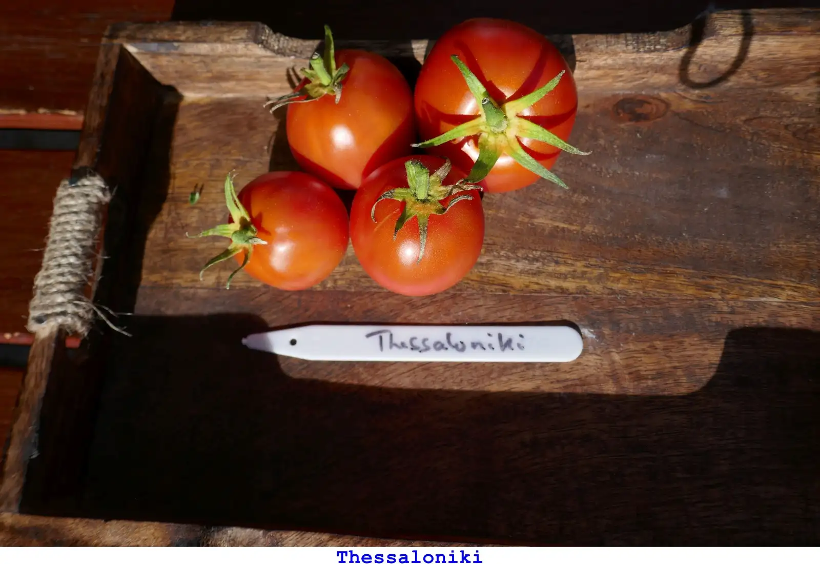 Tomaten: Thessaloniki