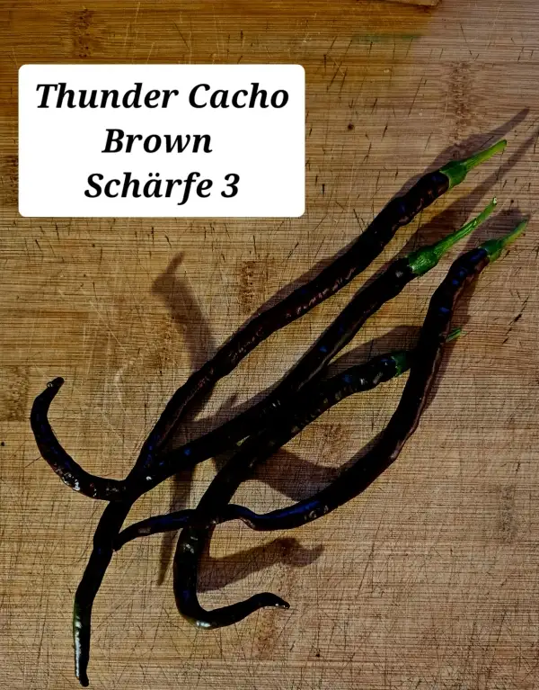 Chili / Paprika: Thunder Cacho Brown