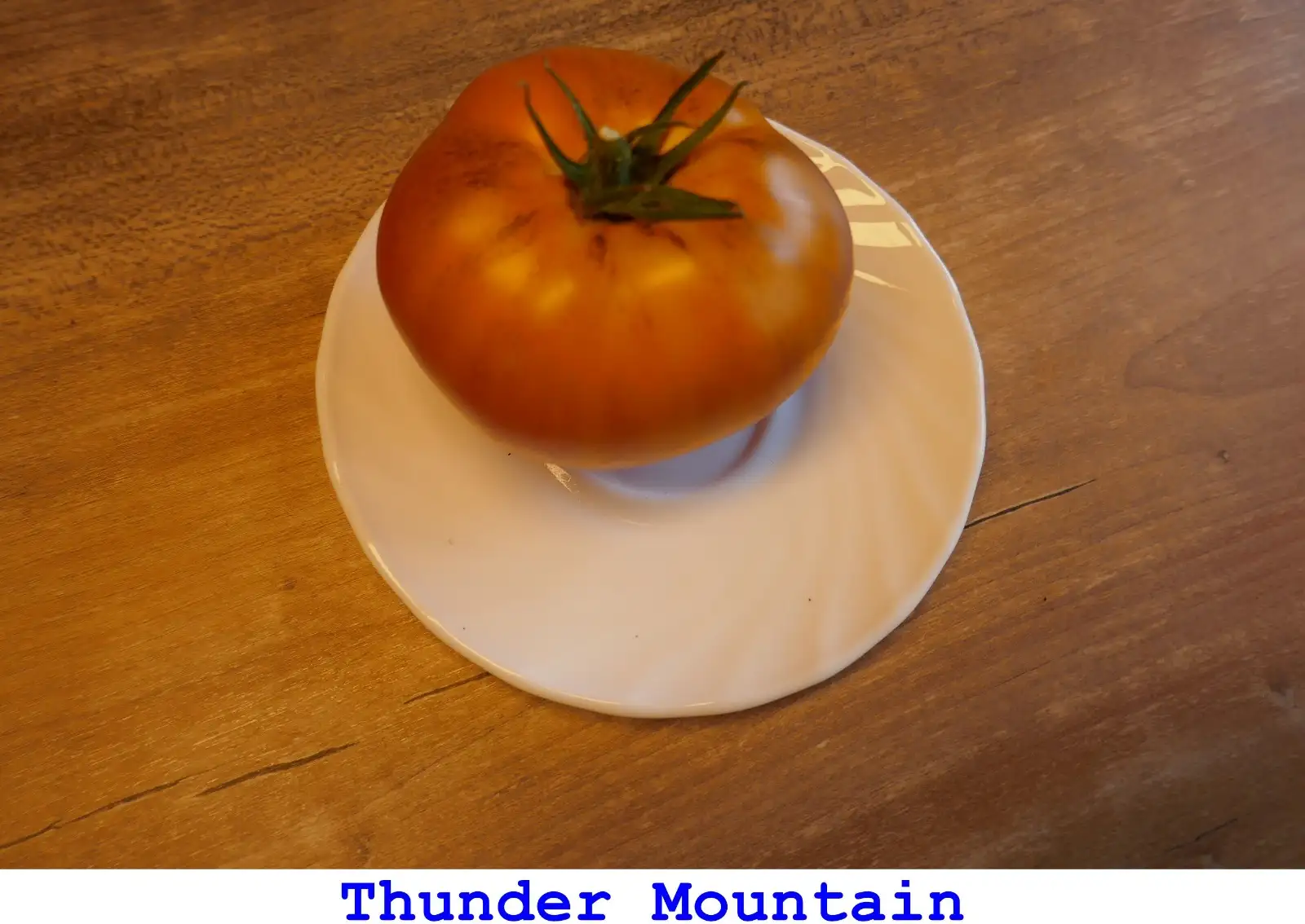 Tomaten: THUNDER MOUNTAIN