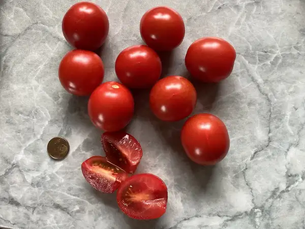 Tomaten: Tiamarie
