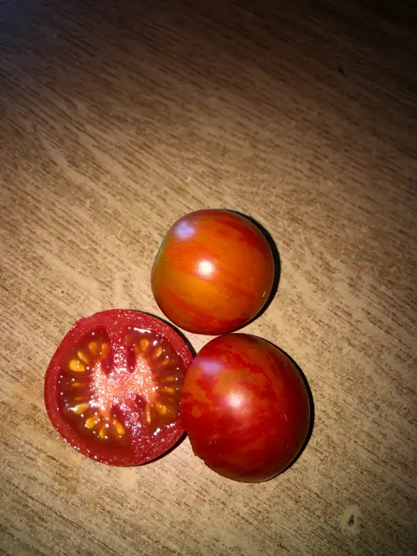 Tomaten: Tiger Striped