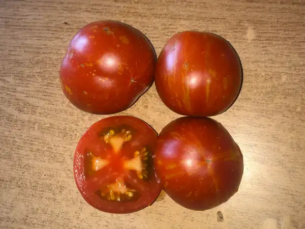 Tomaten: Tiger Tom
