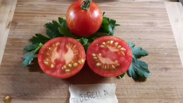 Tomaten: Tigerella