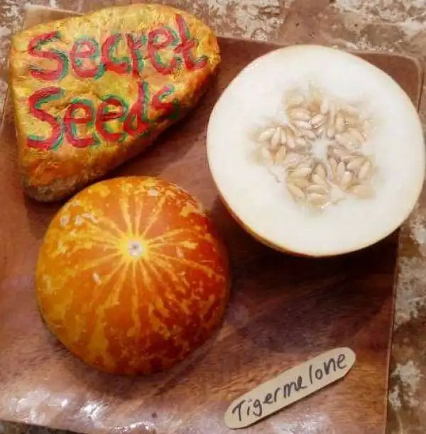 Melonen: Tigermelone