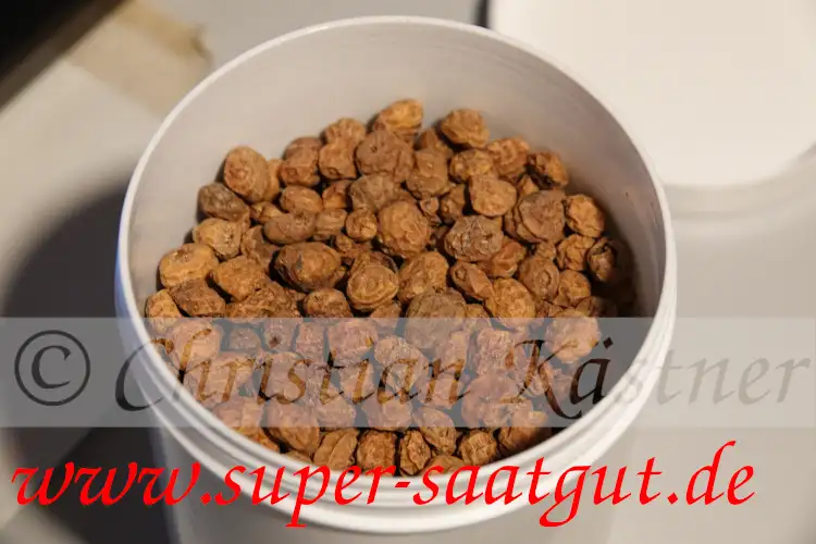 andere Gemüse: Tigernuss