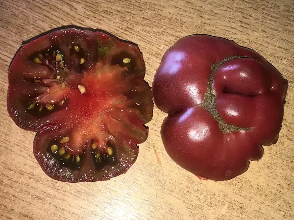 Tomaten: Tim