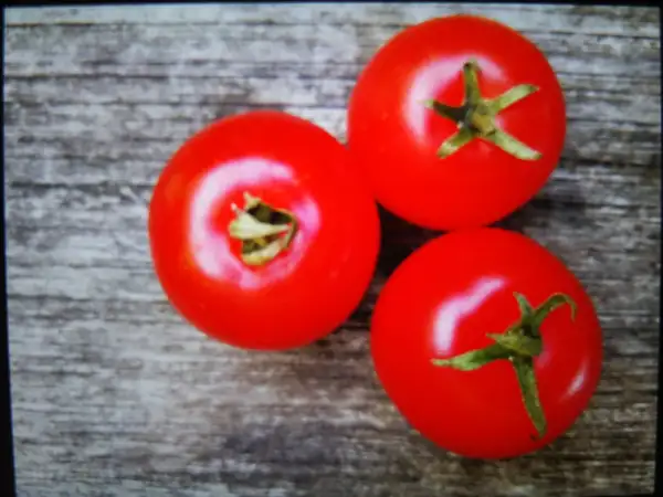 Tomaten: Tiny Tim