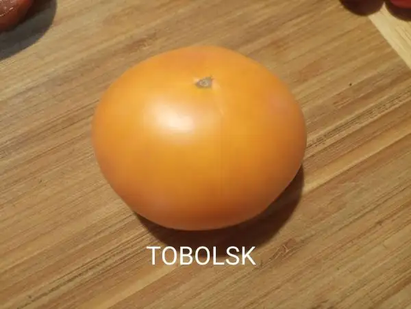 Tomaten: Tobolsk